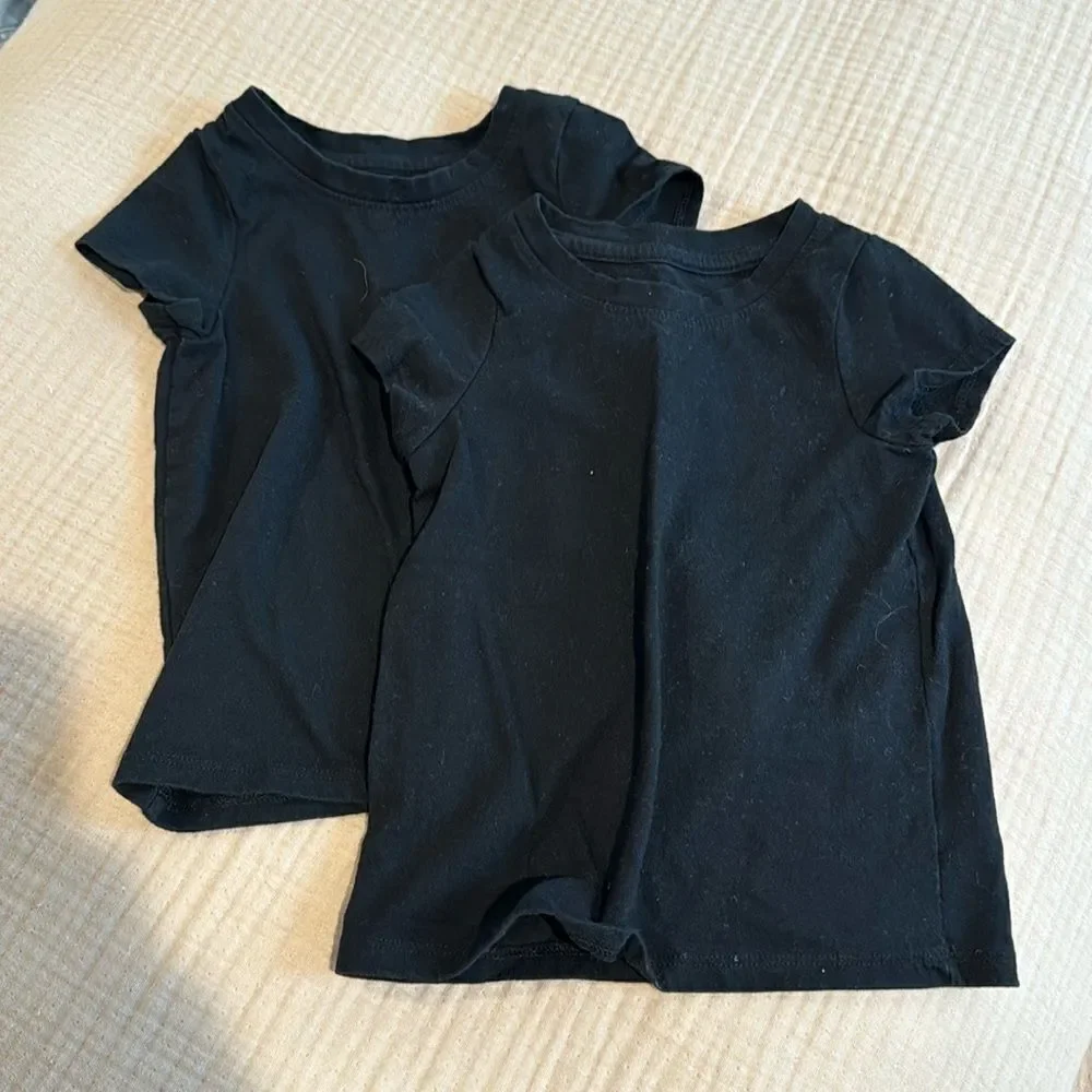 2 pack cat and jack t shirt 2t
